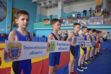 В Николаеве завершился Чемпионат Украины по вольной борьбе, приуроченный к годовщине Великой Победы