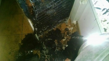 В запорожской квартире горел холодильник - пострадала хозяйка