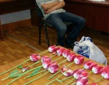 Черниговские следователи увлеклись и разложили конфискованные тюльпаны, как купюры