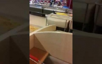 Пернатый "покупатель" в херсонском супермаркете (видео)