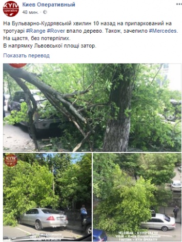 В центре Киева дерево рухнуло на припаркованный Range Rover