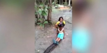 В Индонезии девочки покатались на огромном питоне: пользователи сети в шоке(видео)