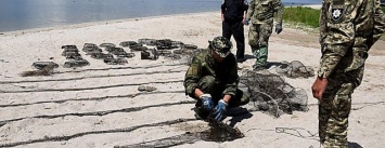 На Николаевщине водный патруль изъял 83 браконьерских орудий для ловли раков и рыбацкие сетки, - ФОТО