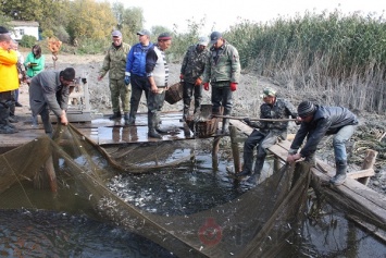 В водоемы Одесской области планируют вселить 16 миллионов рыб