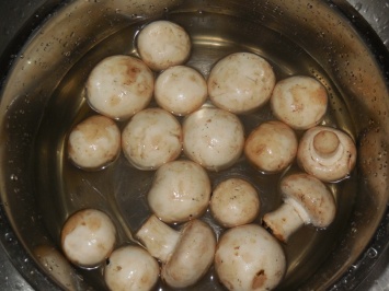 Рецепт грибного шашлыка