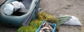 В Запорожской области поймали двоих браконьеров: они нанесли 50 тысяч гривен ущерба, - ФОТО