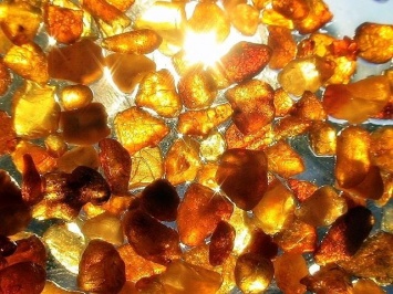 Подпольный бизнес на солнечном камне: полицейские изъяли янтаря на 600 тыс. грн (ФОТО)