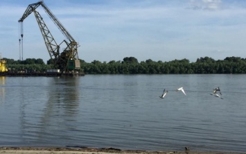 Спасатели Одесской области разыскивают мужчину, который намеревался переплывать Дунай