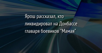 Ярош рассказал, кто ликвидировал на Донбассе главаря боевиков "Мамая"