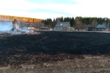 В России мужчина вместе с мусором случайно сжег 13 домов и лес