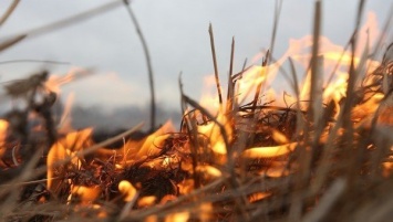 Табу на костры и салюты: в Крыму сохраняется риск пожаров