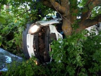 Под Николаевом микроавтобус NISSAN слетел в кювет и врезался в дерево, пять жертв