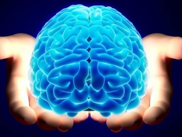 Шаг к бессмертию: ученые впервые оживили мертвый мозг
