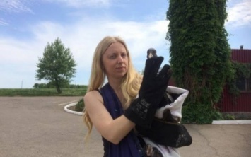 В Запорожье пытаются спасти редкую птицу, которая попала под винт мотора (ФОТО)