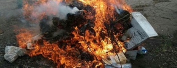 В Краматорске правоохранителями сожжено более 2 килограммов наркотиков