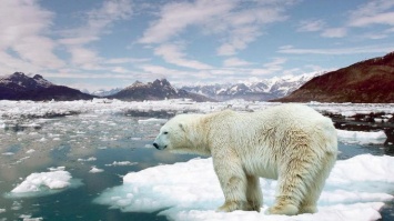 Глобальное потепление ускорит вымирание животных