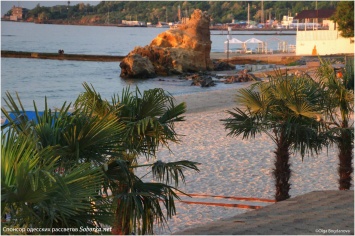 Одесский пляж обзавелся собственными пальмами
