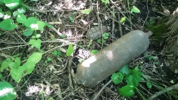 В Синельниковском районе пиротехники обезвредили устаревшую авиационную бомбу АО-10