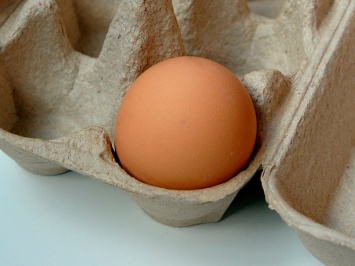 Британские медики: каждый человек должен съедать минимум одно яйцо в день