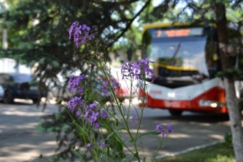 6 новых троллейбусов прибыли в Одессу. Фото