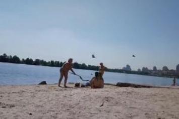 На киевском пляже пенсионерка отлупила пьющих девушек палкой: опубликовано шокирующее видео