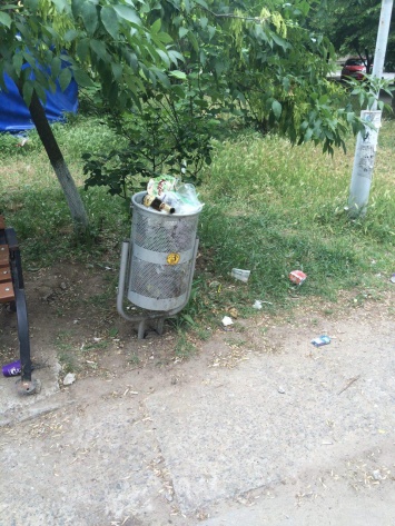 В Николаеве пожаловались на мусор в Сквере «Подвига ликвидаторов аварии на ЧАЭС», который не убирают уже две недели