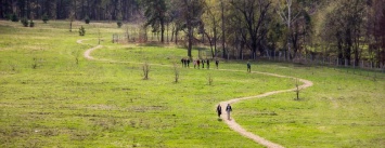 Под парк в Черниговской области выделили еще 106 гектаров леса