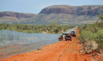 В Австралии построили самый длинный забор против кошек. Фото