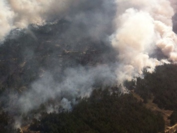 В Херсонской области с помощью авиации тушат верховой пожар в лесу
