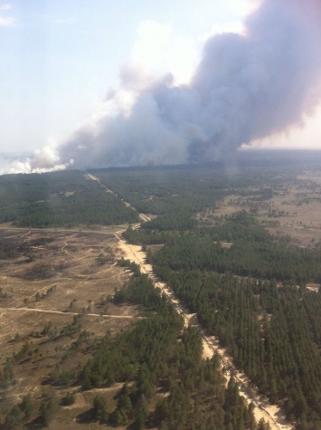 Авиация подключилась к тушению масштабного лесного пожара в Херсонской области
