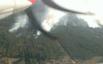Два беспилотника показали масштабы пожара в Раденском лесу с высоты птичьего полета