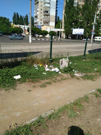 Жительница Николаева пожаловалась на грязную детскую площадку: «Дети вынуждены играть и жить в помойке»
