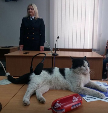 В запорожском суде за кражу колбасы судили кота Ваську (Фото)