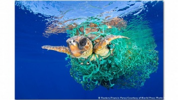 Спасите планету от пластика, перестаньте убивать черепах