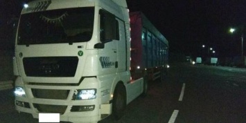 Почти 14 тыс. евро - штраф водителю фуры, перевозившему груз по маршруту Херсон - Краматорск