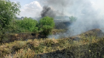 На Николаевщине объявлен чрезвычайный уровень пожарной опасности