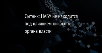 Сытник: НАБУ не находится под влиянием никакого органа власти