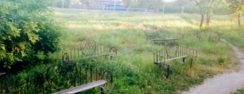Парк в Былбасовке превращается в "зону отчуждения"
