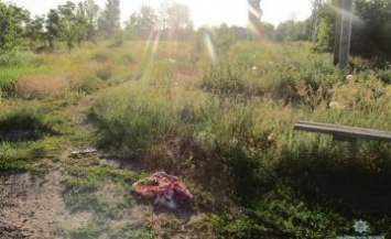 В Киевской области мужчина прямо посреди села забил насмерть свою гражданскую супругу (ФОТО)