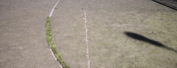 Футбольное поле «Азовец» в Мариуполе отремонтируют в следующем году, - ФОТО