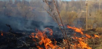 Ночью в Покровске в районе парка "Юбилейный" произошел пожар