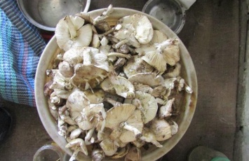 На Луганщине от отравления грибами умер человек