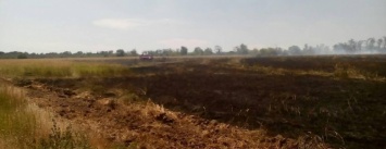 В Запорожье произошел пожар на Хортице: огонь тушили 17 спасателей, - ФОТО