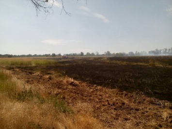 Пожар на Хортице тушили 17 спасателей