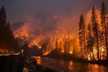 В России решили не тушить лесные пожары, так как это дешевле