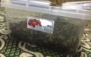 В Одной из одесских квартир собрали "урожай" наркотиков