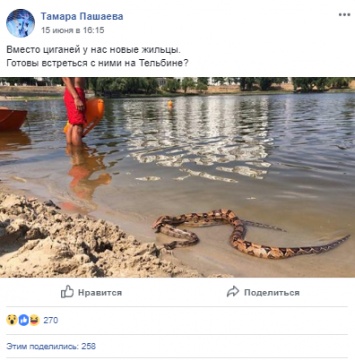 В Киеве, на пляже озера Тельбин, заметили двух "загорающих" питонов