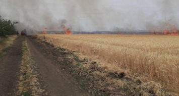 Фермеры несут убытки: спасатели ликвидировали два крупных возгорания на полях с пшеницей