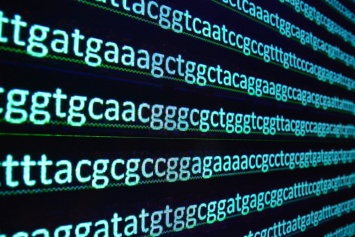 Выборка из ДНК-кода может быть свободной: исследование