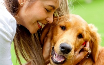 Общение с собаками полезно для здоровья